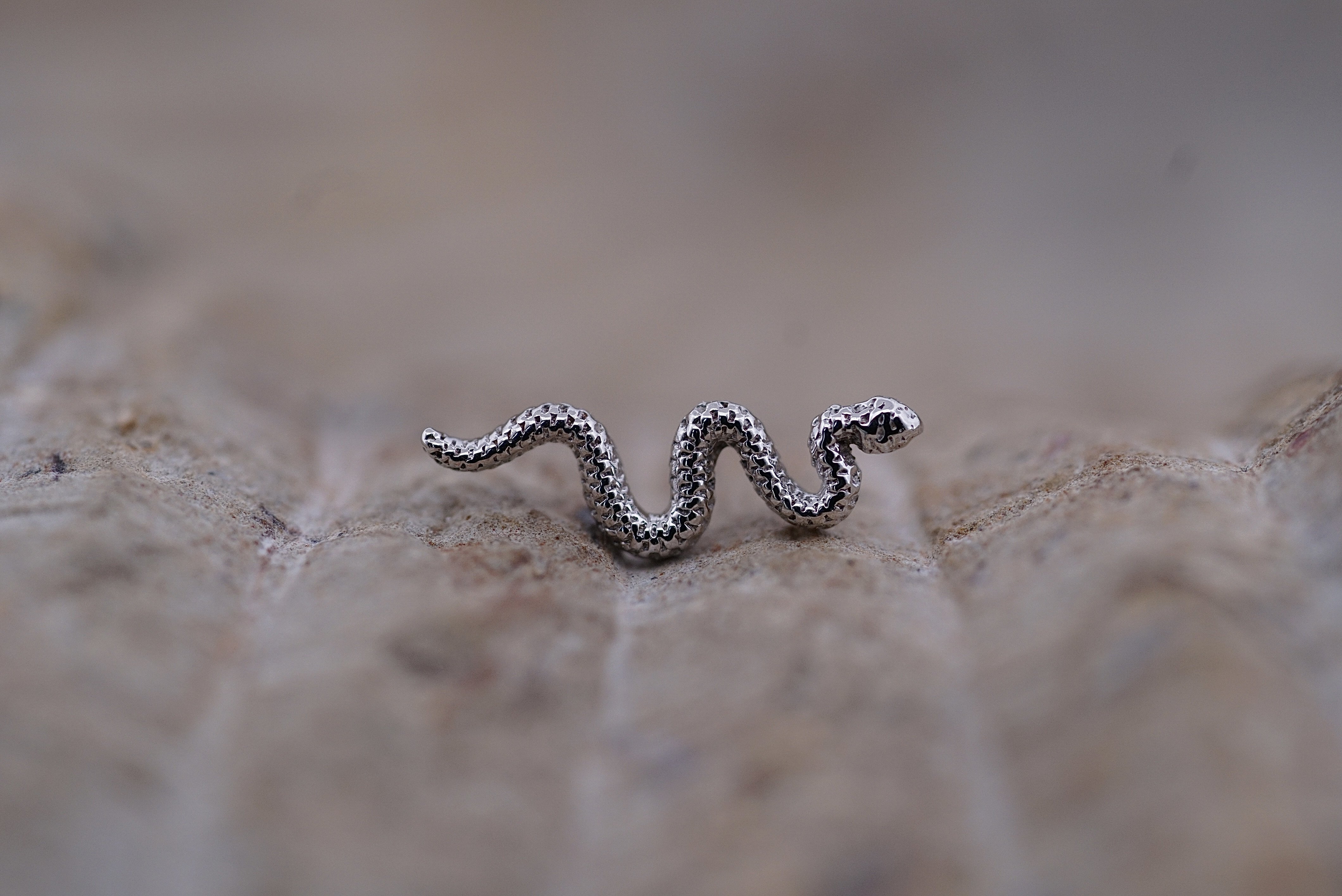 BVLA hotsell 12mm Delicate Snake 14k White Gold